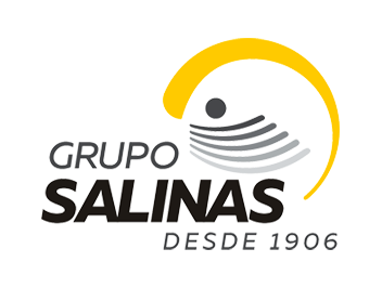 10-Grupo-Salinas